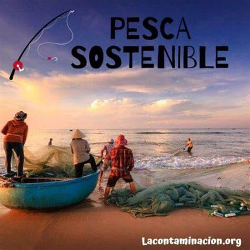 Post Pesca 2