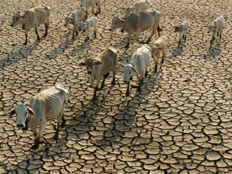 España, “zona de especial vulnerabilidad climática”, según el IRC 2025: nuevas evidencias para una transición justa más acelerada y ambiciosa