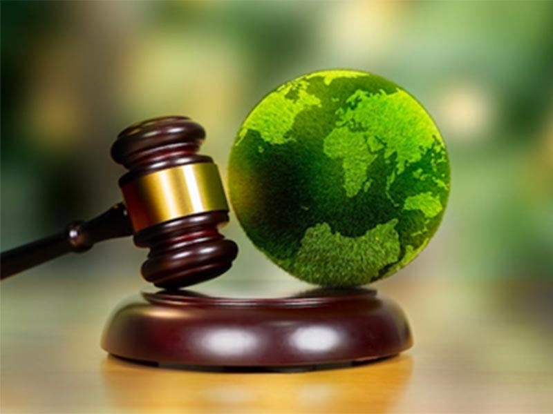 La garantía de un ambiente de calidad de vida como derecho tomado en serio: Un esperanzador Dictamen de la Corte de Justicia de la ONU