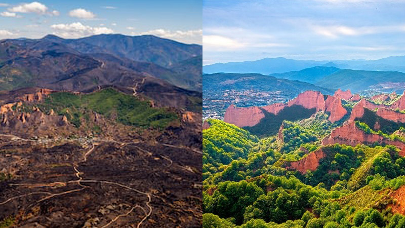 La protección sociolaboral como condición para la tutela ambiental: El trágico “olvido” de las nuevas leyes de agentes ambientales y bomberos forestales