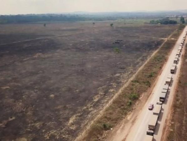 La tutela ambiental ¿límite eco-social a la libertad de competencia económica?: El conflicto del pacto sobre la soja en Brasil en clave europea