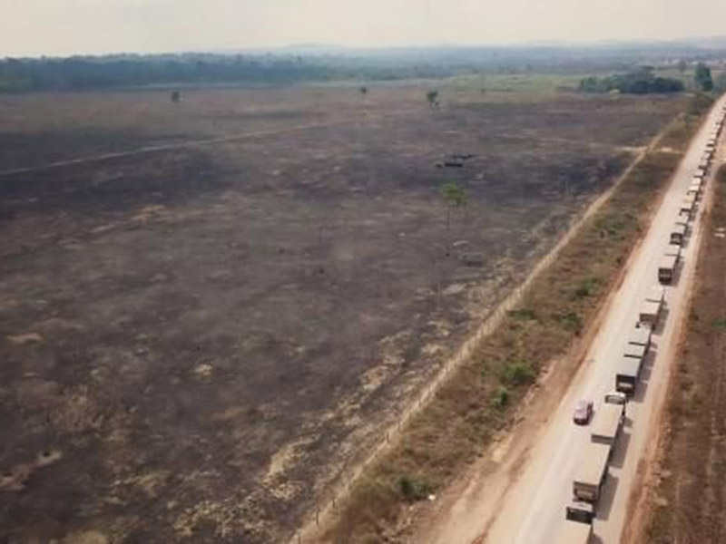 La tutela ambiental ¿límite eco-social a la libertad de competencia económica?: El conflicto del pacto sobre la soja en Brasil en clave europea