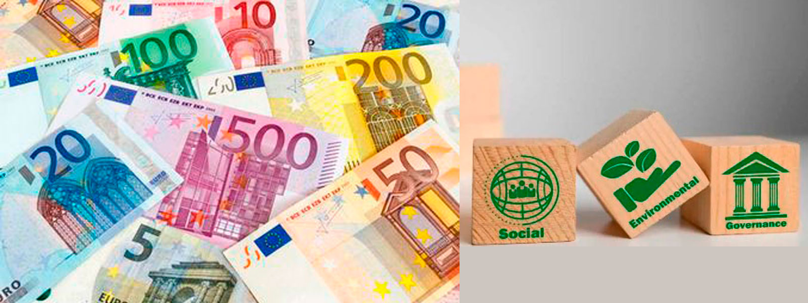 La Ley 1/2026, 8 de abril: ¿un ecosistema normativo más solidario de entidades de economía social, aún sin visibilizar la sostenibilidad ambiental?