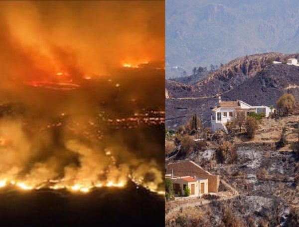 De “inflamable” a la “España (re)quemada” en verano: un riesgo eco-social sistémico fabricado en invierno