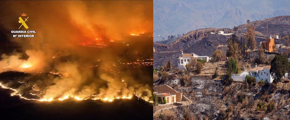 De “inflamable” a la “España (re)quemada” en verano: un riesgo eco-social sistémico fabricado en invierno