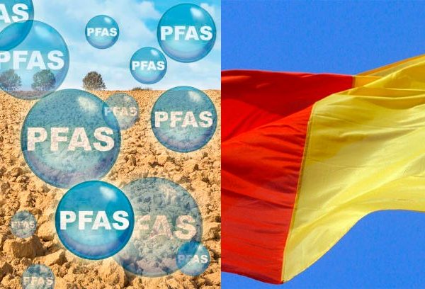 Nuevo reto para la justicia socioambiental europea: Demanda contra Bélgica ante el CEDS por la contaminación de PFAS