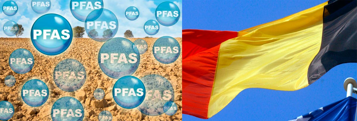 Nuevo reto para la justicia socioambiental europea: Demanda contra Bélgica ante el CEDS por la contaminación de PFAS